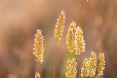 Best_Photos-438