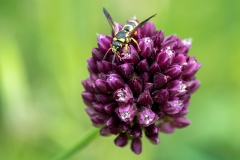 Best_Photos-442