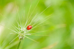 Best_Photos-444