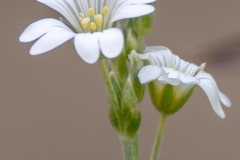 Best_Photos-445