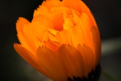 Best_Photos-449