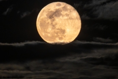 Best_Photos-450