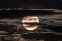 Best_Photos-451