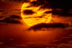 Best_Photos-452