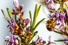 Best_Photos-455