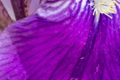 Best_Photos-456