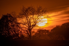 Best_Photos-460