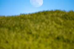 Best_Photos-462