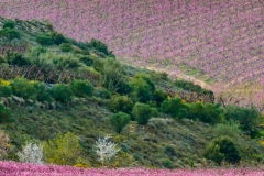 Best_Photos-467