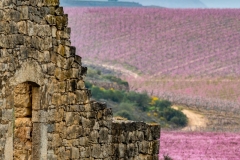 Best_Photos-468