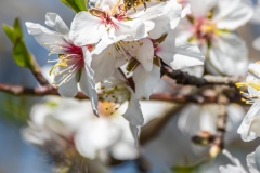 Best_Photos-470