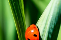 Best_Photos-472
