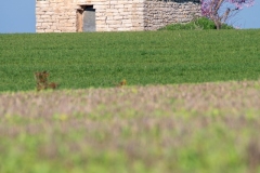 Best_Photos-473