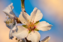 Best_Photos-477
