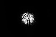 Best_Photos-486