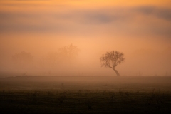 Best_Photos-488