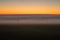 Best_Photos-489