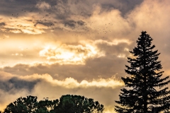 Best_Photos-491