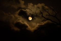 Best_Photos-495