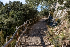 Best_Photos-503