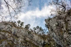 Best_Photos-504