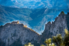 Best_Photos-508