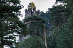 Best_Photos-509